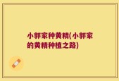 小郭家种黄精(小郭家的黄精种植之路)