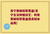 景宁黄精稻草覆盖(景宁古法种植技艺：利用黄精稻草覆盖提高稻米品质)