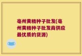 亳州黄精种子批发(亳州黄精种子批发商供应最优质的货源)