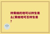 种黄精的地可以种生姜么(黄精地可否种生姜？