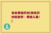 有收黄精药材(稀有药材收割季：黄精入囊！)