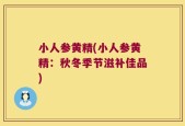 小人参黄精(小人参黄精：秋冬季节滋补佳品)