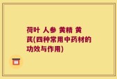 荷叶 人参 黄精 黄芪(四种常用中药材的功效与作用)