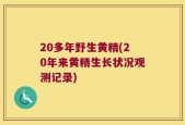 20多年野生黄精(20年来黄精生长状况观测记录)