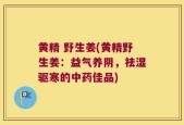 黄精 野生姜(黄精野生姜：益气养阴，祛湿驱寒的中药佳品)