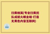 扫黄精英(专业扫黄团队成就火眼金睛-打造无黄色内容互联网)