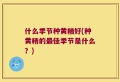 什么季节种黄精好(种黄精的最佳季节是什么？)