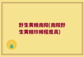 野生黄精南阳(南阳野生黄精珍稀程度高)