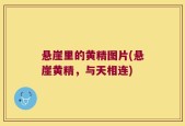 悬崖里的黄精图片(悬崖黄精，与天相连)
