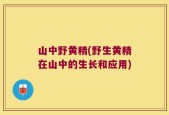 山中野黄精(野生黄精在山中的生长和应用)