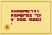 湖南黄精种植户(湖南黄精种植户摸索“花旗参”销路路，谋求出路)