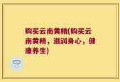购买云南黄精(购买云南黄精，滋润身心，健康养生)
