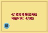 4月底能种黄精(黄精种植时间：4月底)