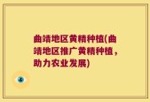 曲靖地区黄精种植(曲靖地区推广黄精种植，助力农业发展)