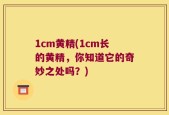 1cm黄精(1cm长的黄精，你知道它的奇妙之处吗？)