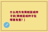 什么地方有黄精苗或种子卖(黄精苗或种子在哪里有售？)