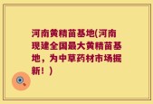 河南黄精苗基地(河南现建全国最大黄精苗基地，为中草药材市场掘新！)
