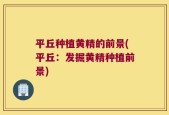 平丘种植黄精的前景(平丘：发掘黄精种植前景)