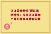 湛江黄精种植(湛江黄精种植：探秘湛江黄精产业的发展现状和前景)