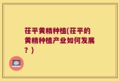 茌平黄精种植(茌平的黄精种植产业如何发展？)