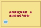 向晖黄精(晖黄精：从未探索的魔力植物)