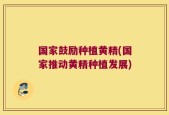 国家鼓励种植黄精(国家推动黄精种植发展)