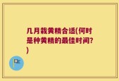 几月栽黄精合适(何时是种黄精的最佳时间？)