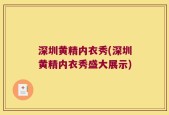 深圳黄精内衣秀(深圳黄精内衣秀盛大展示)