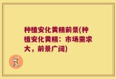 种植安化黄精前景(种植安化黄精：市场需求大，前景广阔)
