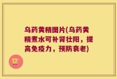 乌药黄精图片(乌药黄精煮水可补肾壮阳，提高免疫力，预防衰老)