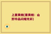 上栗黄精(栗黄精：山野珍品闪耀光彩)