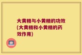大黄精与小黄精的功效(大黄精和小黄精的药效作用)