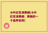 小叶红花滇黄精(小叶红花滇黄精：黄精的一个品种名称)