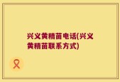 兴义黄精苗电话(兴义黄精苗联系方式)