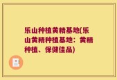 乐山种植黄精基地(乐山黄精种植基地：黄精种植、保健佳品)