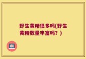 野生黄精很多吗(野生黄精数量丰富吗？)