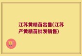 江苏黄精苗出售(江苏产黄精苗批发销售)