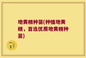 地黄精种苗(种植地黄精，首选优质地黄精种苗)