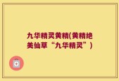 九华精灵黄精(黄精绝美仙草“九华精灵”)