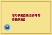 爆炒黄精(爆红的神奇植物黄精)
