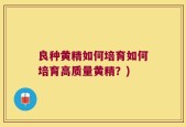 良种黄精如何培育如何培育高质量黄精？)