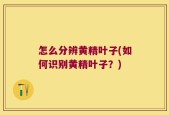 怎么分辨黄精叶子(如何识别黄精叶子？)