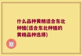 什么品种黄精适合东北种植(适合东北种植的黄精品种选择)