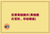 优质黄精图片(黄精图片赏析，尽收眼底)