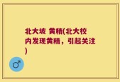 北大坡 黄精(北大校内发现黄精，引起关注)