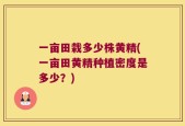 一亩田栽多少株黄精(一亩田黄精种植密度是多少？)