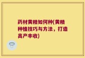 药材黄精如何种(黄精种植技巧与方法，打造高产丰收)