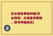 彭水棣棠黄精种植(彭水探秘：从棣棠到黄精，探寻种植秘诀)