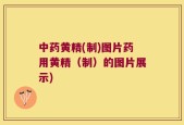 中药黄精(制)图片药用黄精（制）的图片展示)