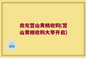 南充营山黄精收购(营山黄精收购大举开启)